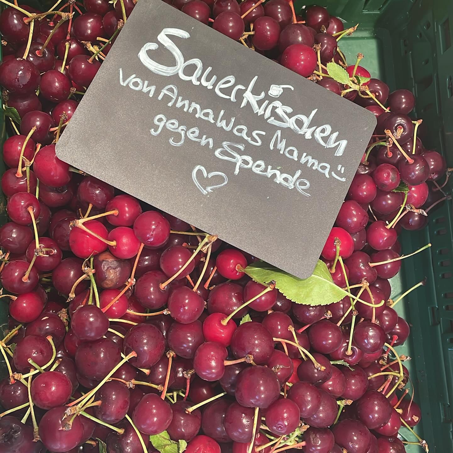 Neu im Obstregal! Sauerkirschen von AnnaWas Mama. Also aus deren Garten, liebevoll gepflückt von deren Partner. Jetzt für euch im Ernas zum Mitnehmen! 🍒🍒🍒😻🤤 #ernas_aktuelles